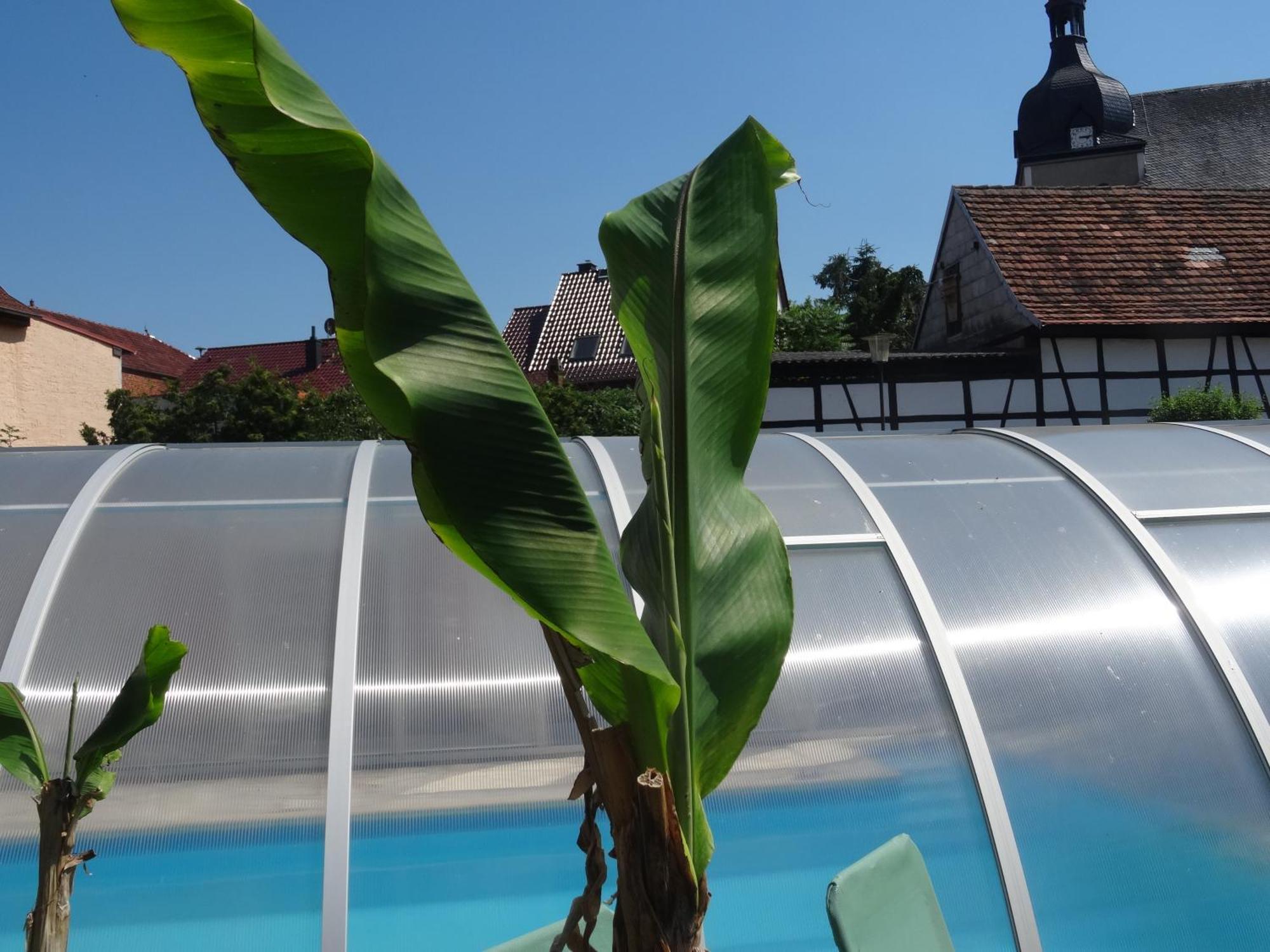Pension Und Gaestehaus Paffrath Grossbrembach Luaran gambar